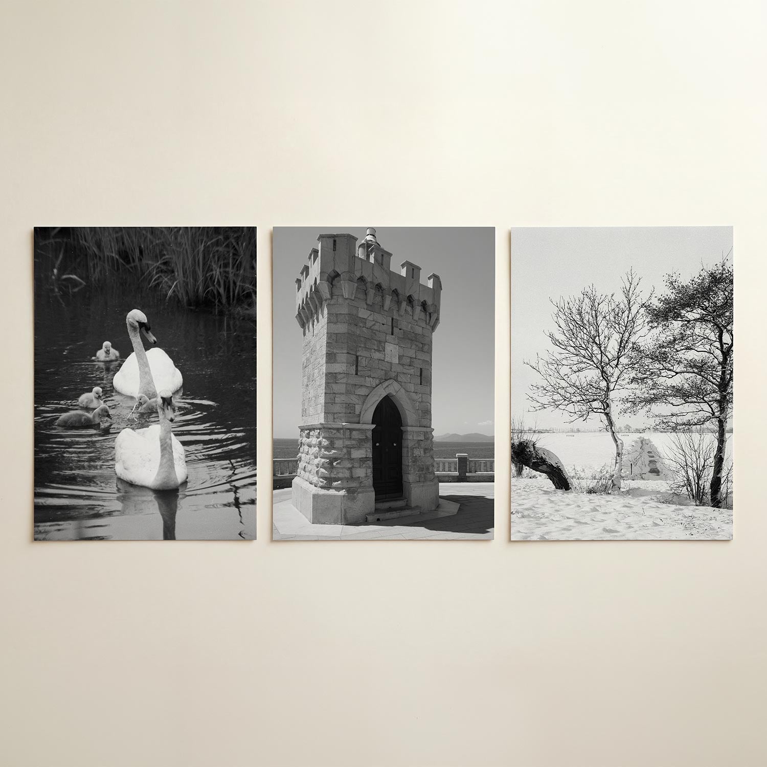 Zwanenfamilie in water Posterset