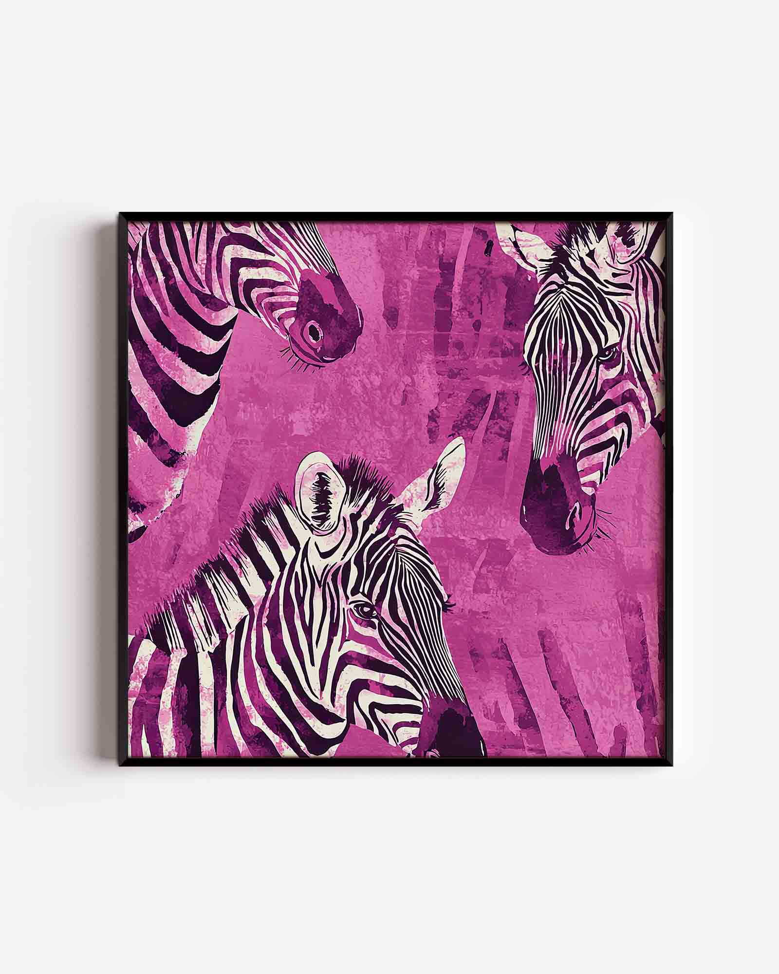 Zebra's op roze Poster