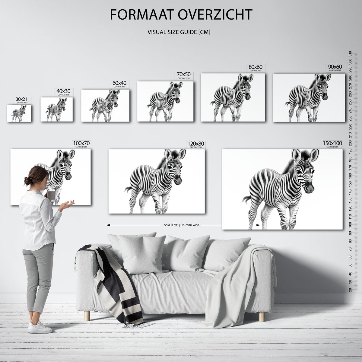 Zebra Poster