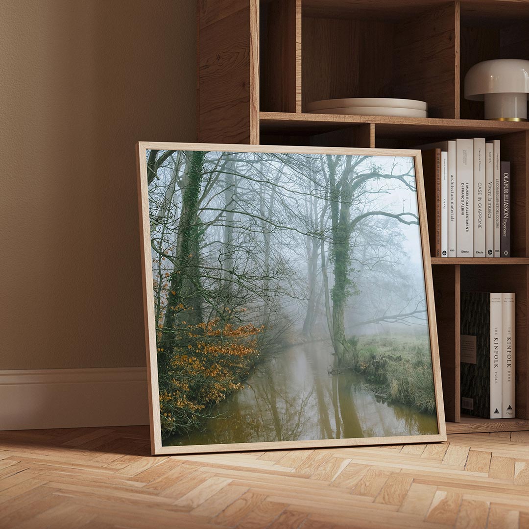 Mistig boslandschap Poster
