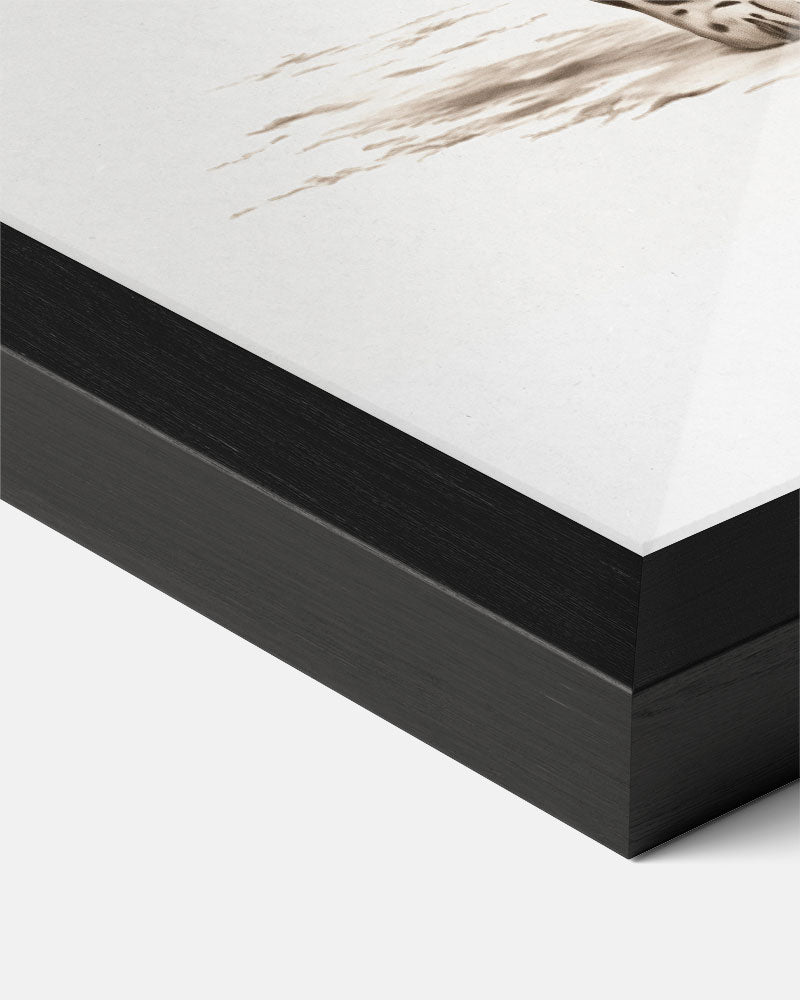 Elegante Luipaard Wandposter-WallArtistic