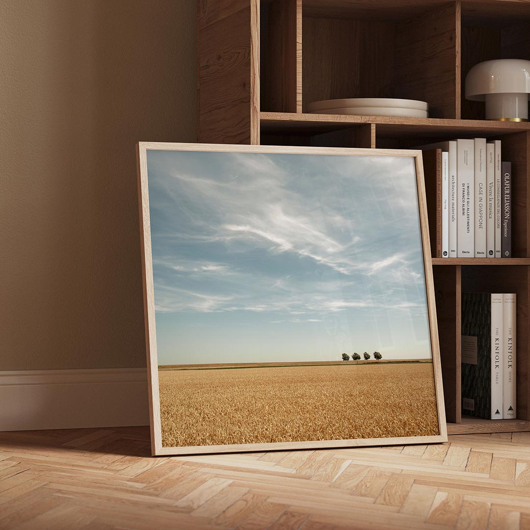 Rustige landschap Poster