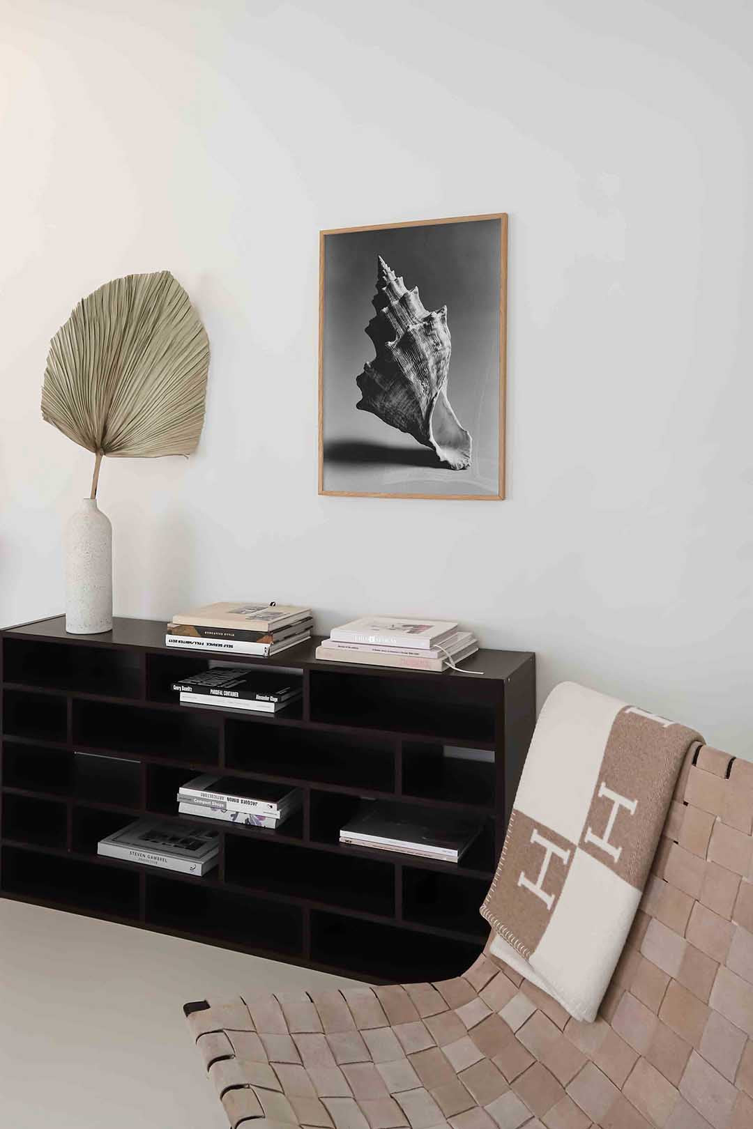 Schelp in zwart wit Poster