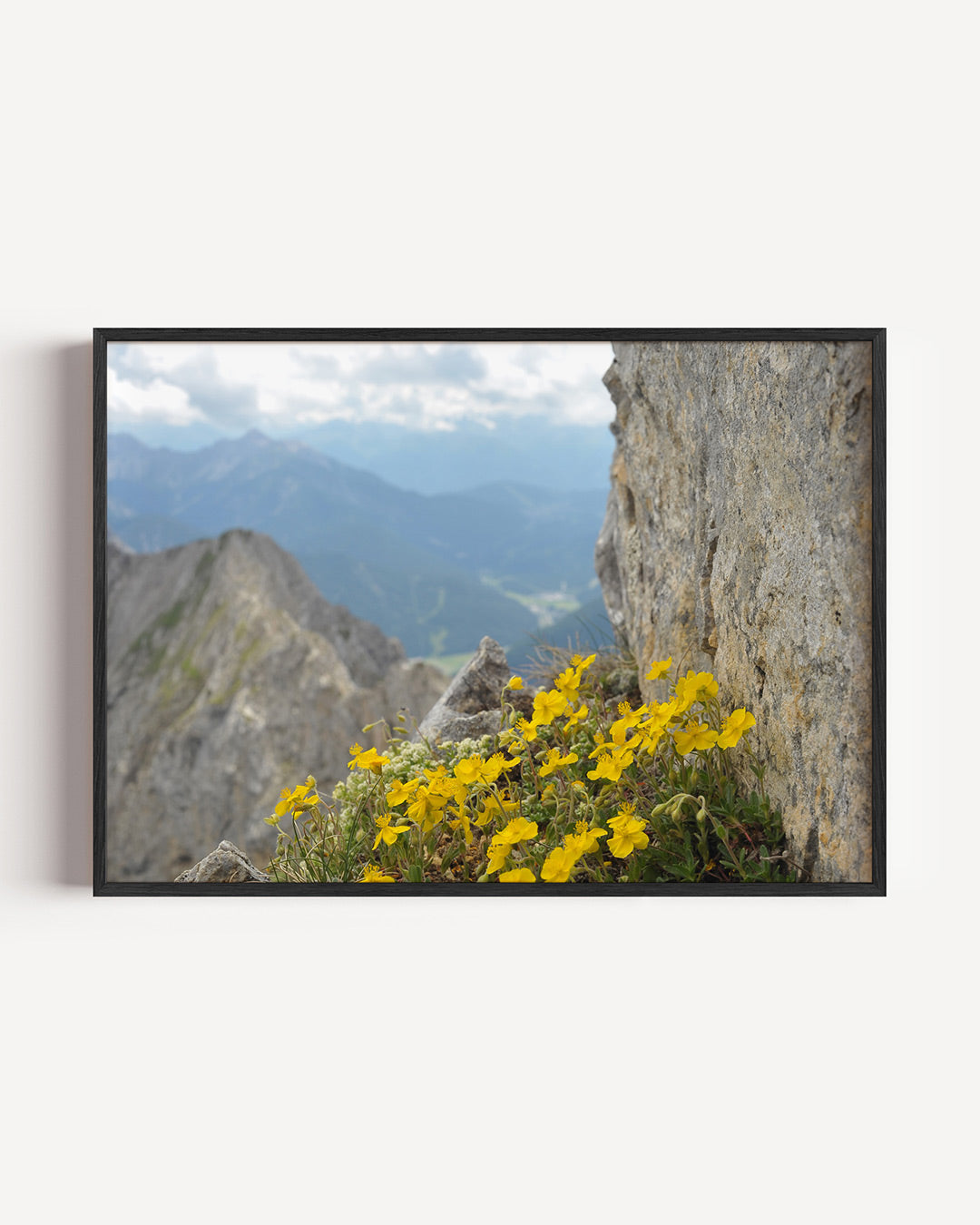 Bergbloemen en rotsen Poster