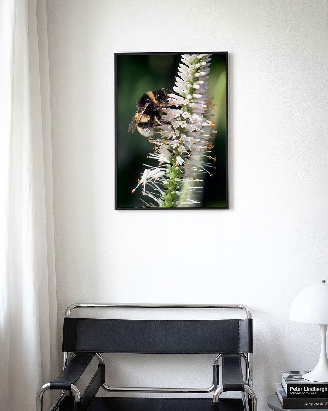 Bij op bloem Poster
