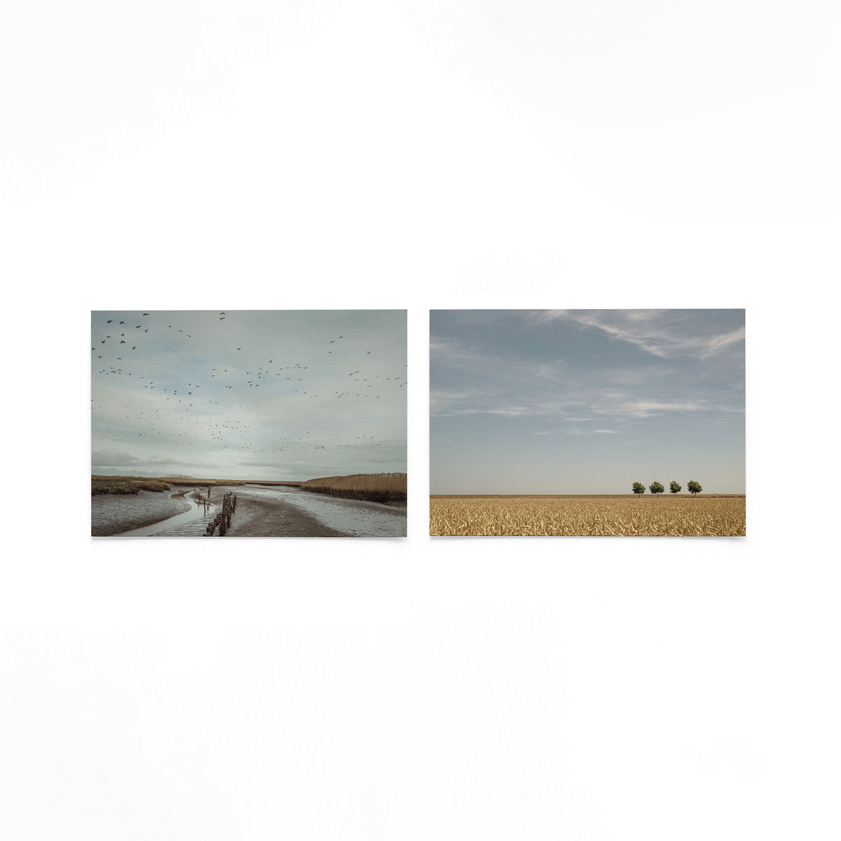 Productfoto van twee liggende posters met getijden en gouden aren – Gerald Emming