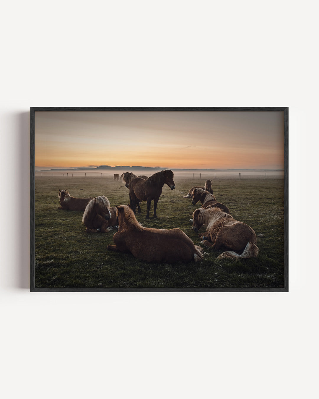Rustige paardenweide Poster