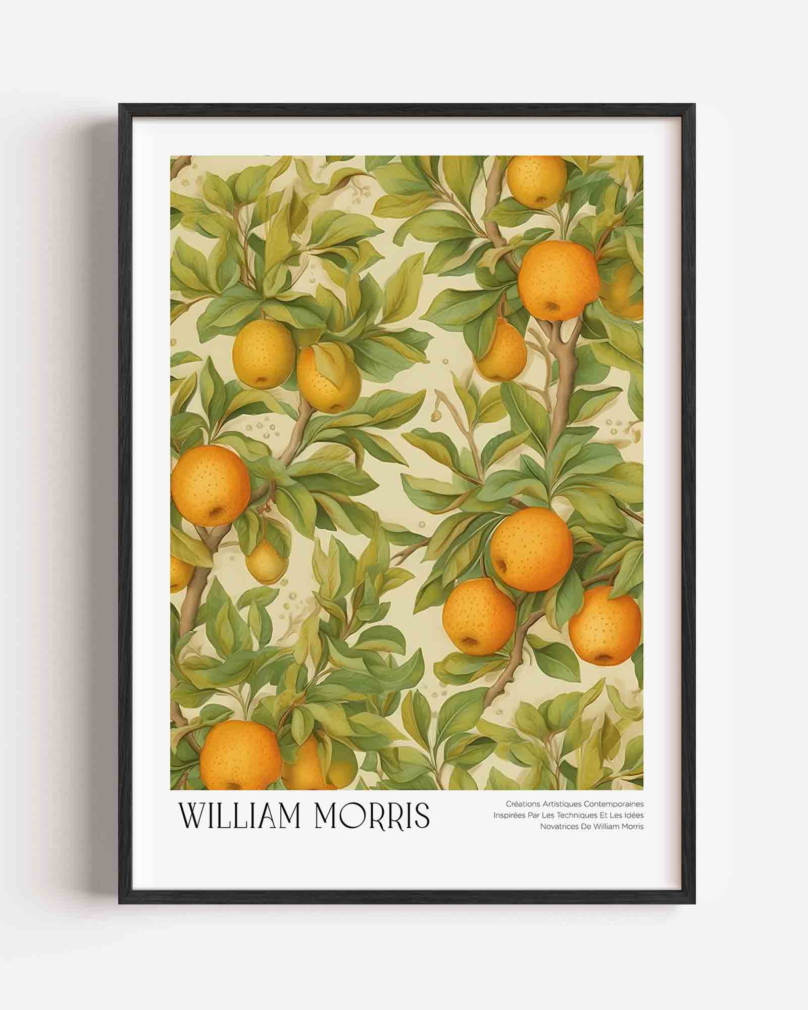Citrus en bladeren Poster