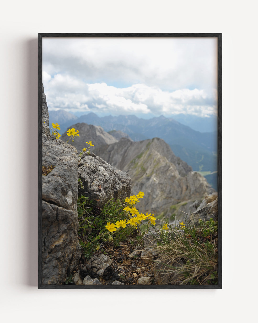 Berglandschap met bloemen Poster