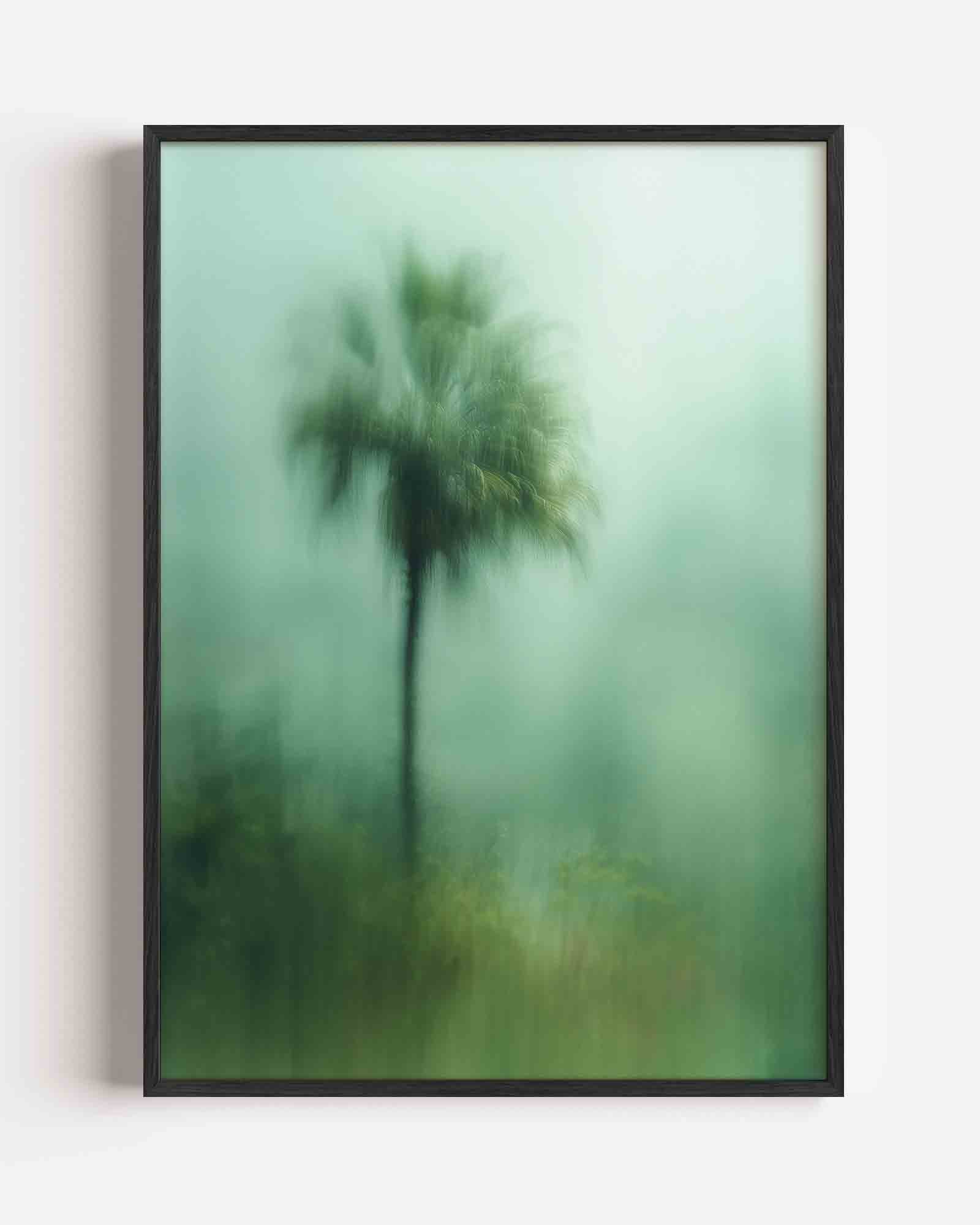 Vervagende palm Poster