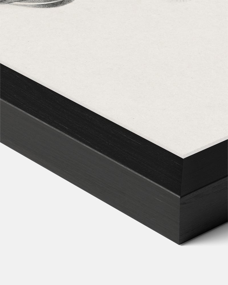 Elegante Schets van Mysterie Poster-WallArtistic