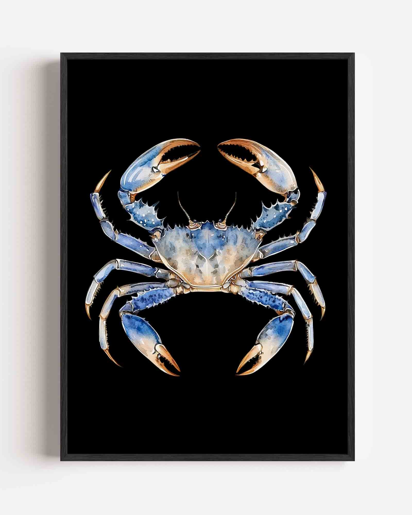 Blauwe krab Poster