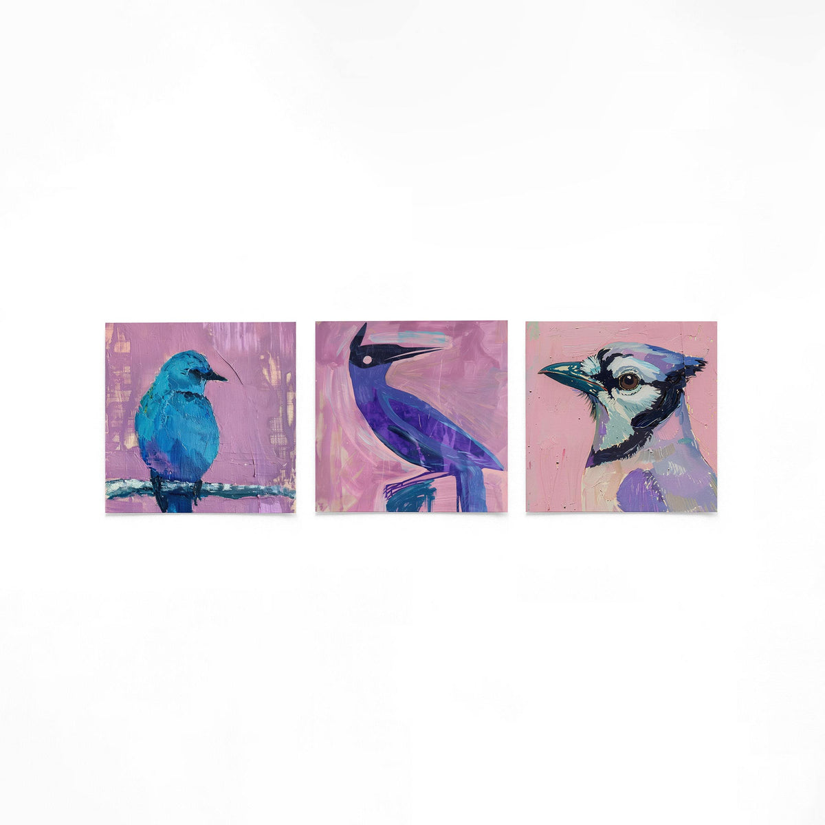 Drie vierkante posters met kleurrijke vogels op een gebroken witte achtergrond