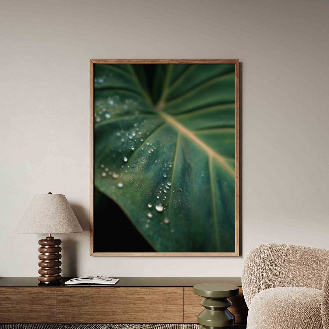 Groen blad met dauwdruppels Poster