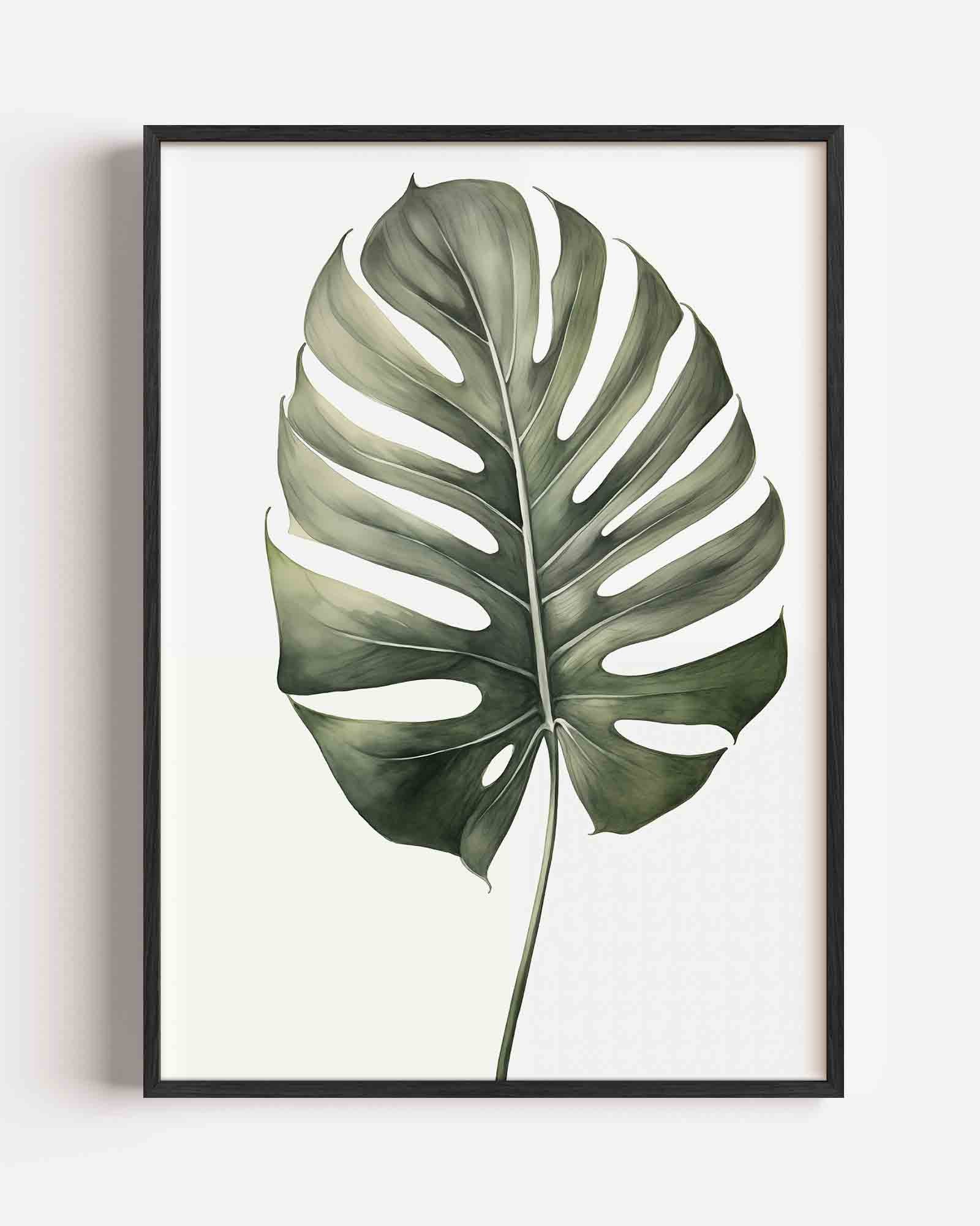 Monstera blad Poster