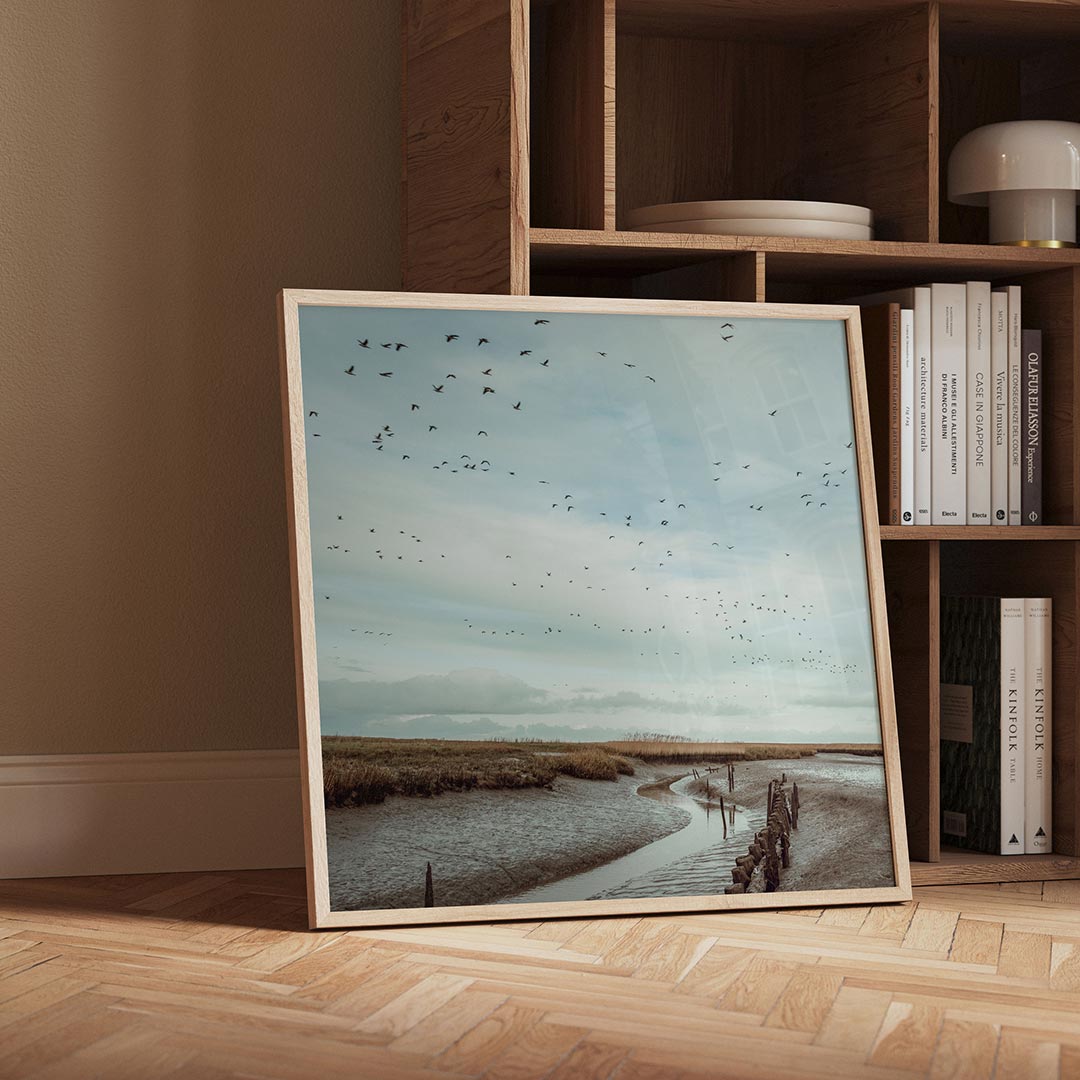 Vogels boven landschap Poster