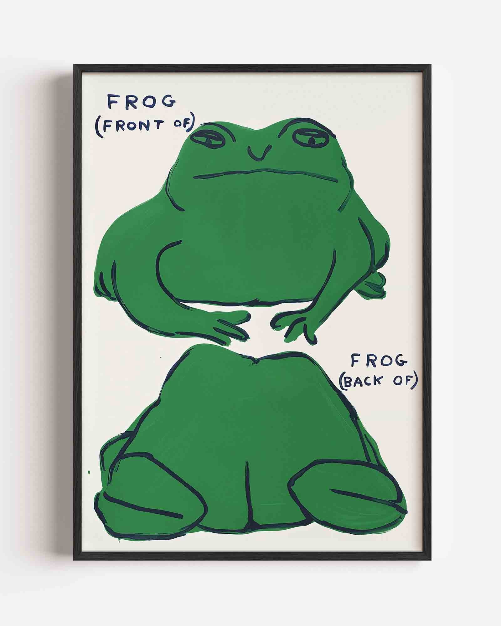 Groene kikker Poster
