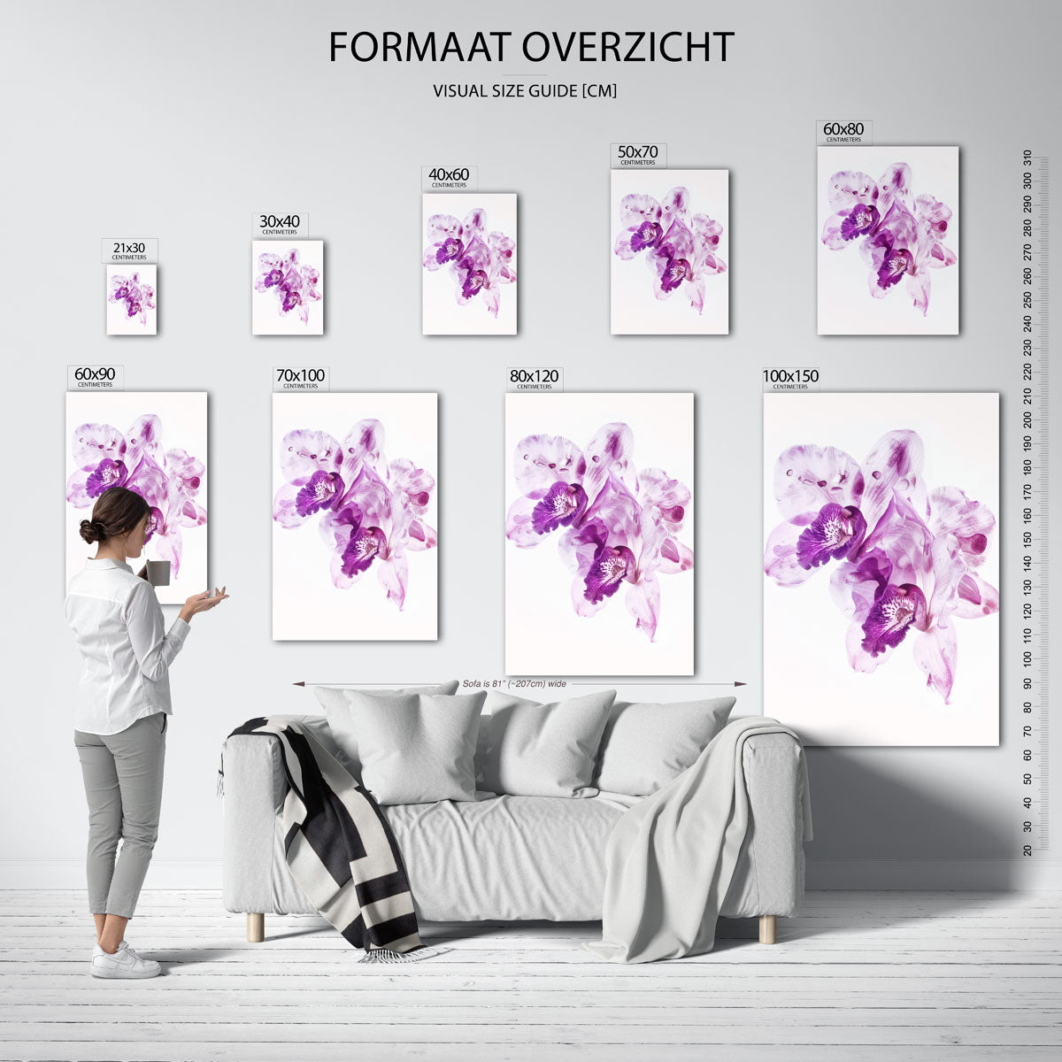 Paarse orchideeën Poster