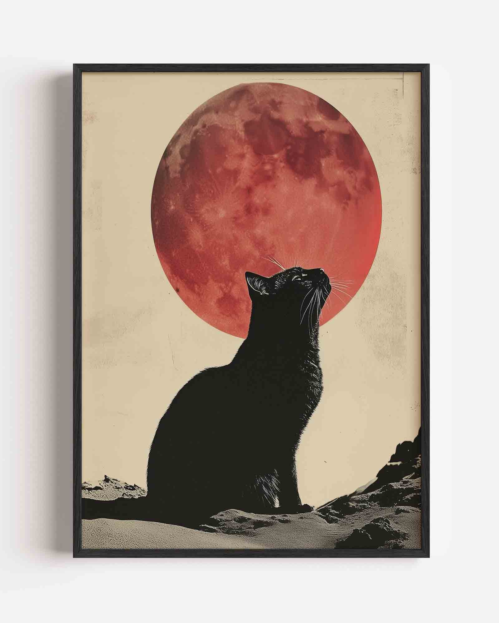 Kat en rode maan Poster