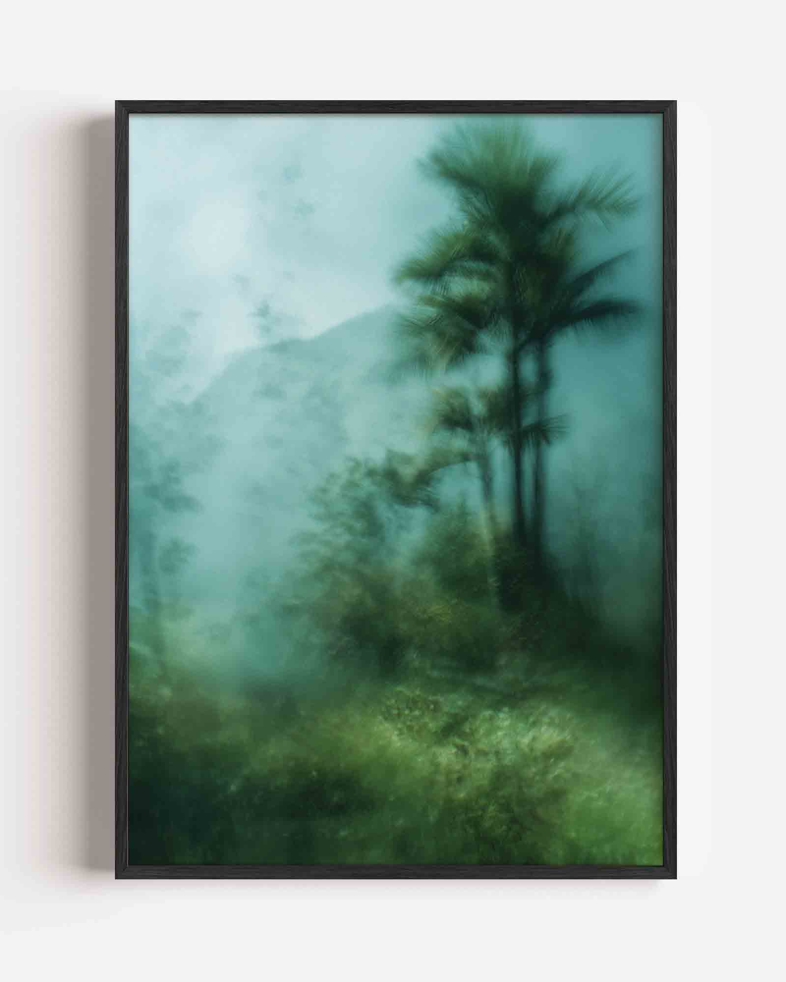 Mistige bomen Poster