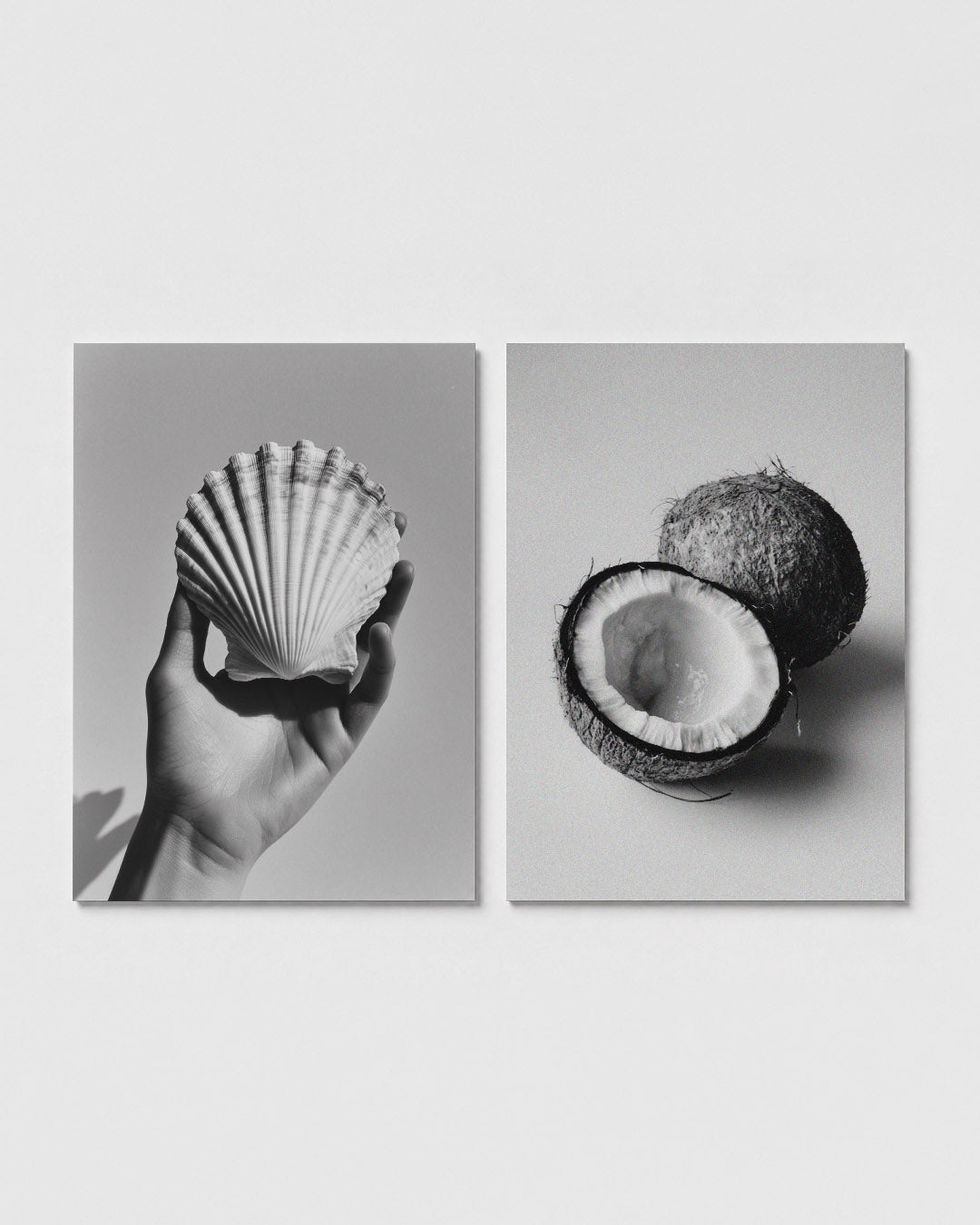 Hand en schelp Posterset