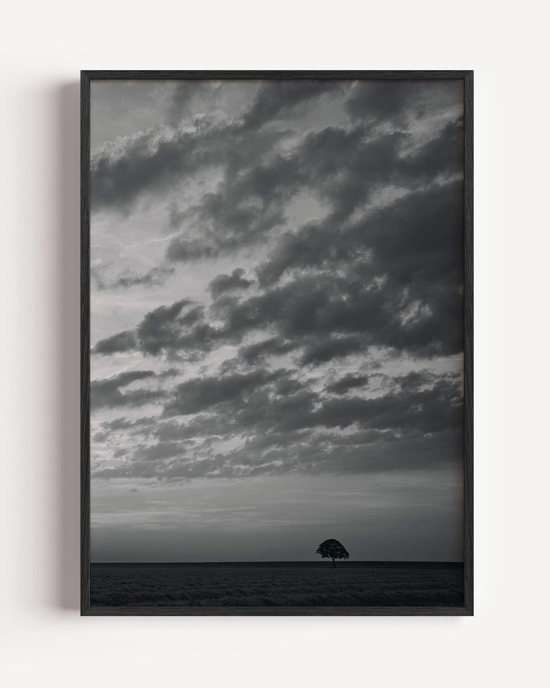 Eenzame boom landschap Poster