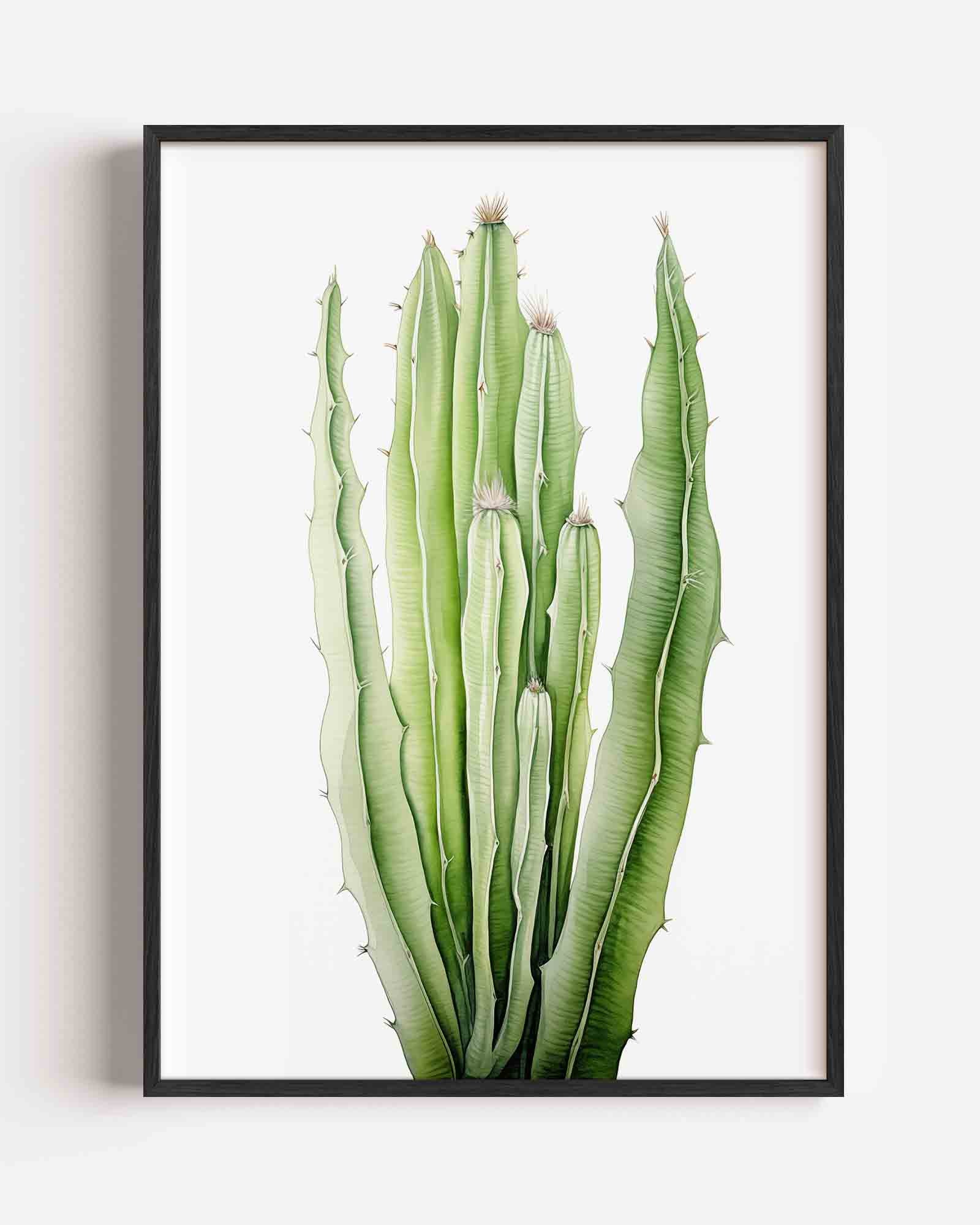 Groene cactus Poster