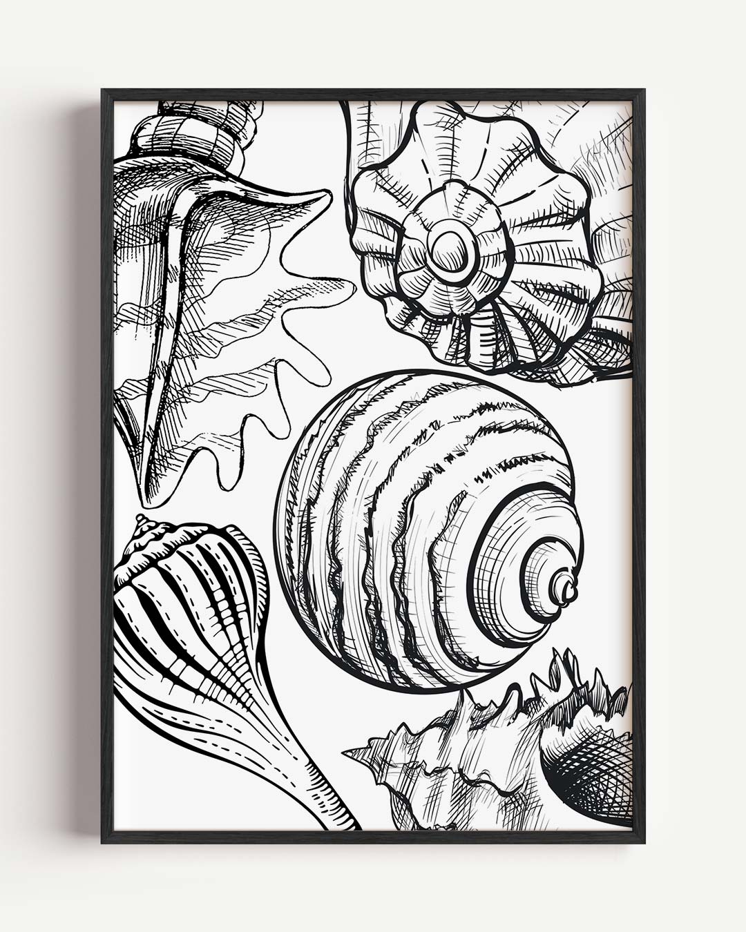 Schelpen Kunstposter-WallArtistic