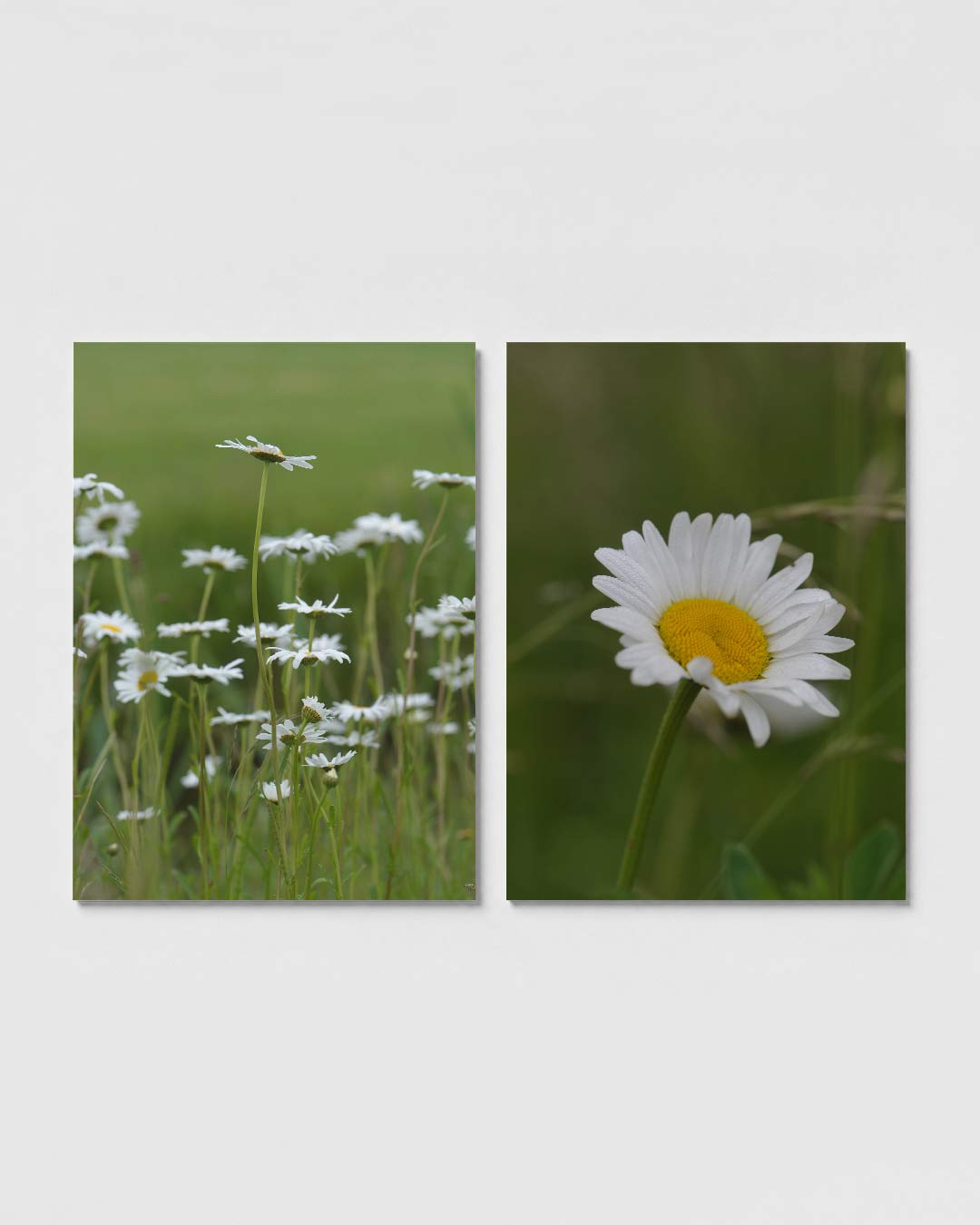 Bloemen en groen Posterset