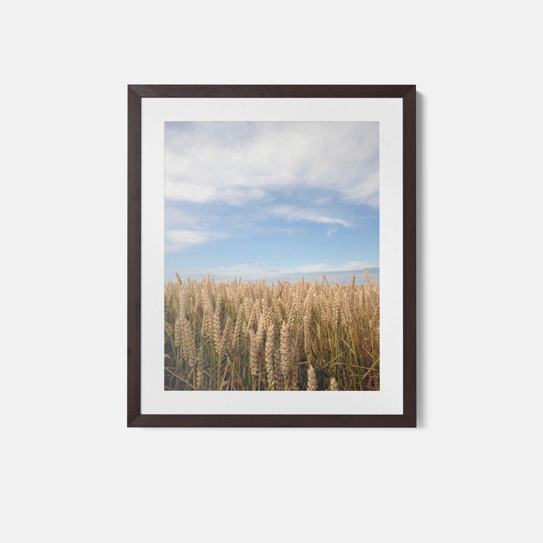 Rustiek Graanveld Poster-WallArtistic