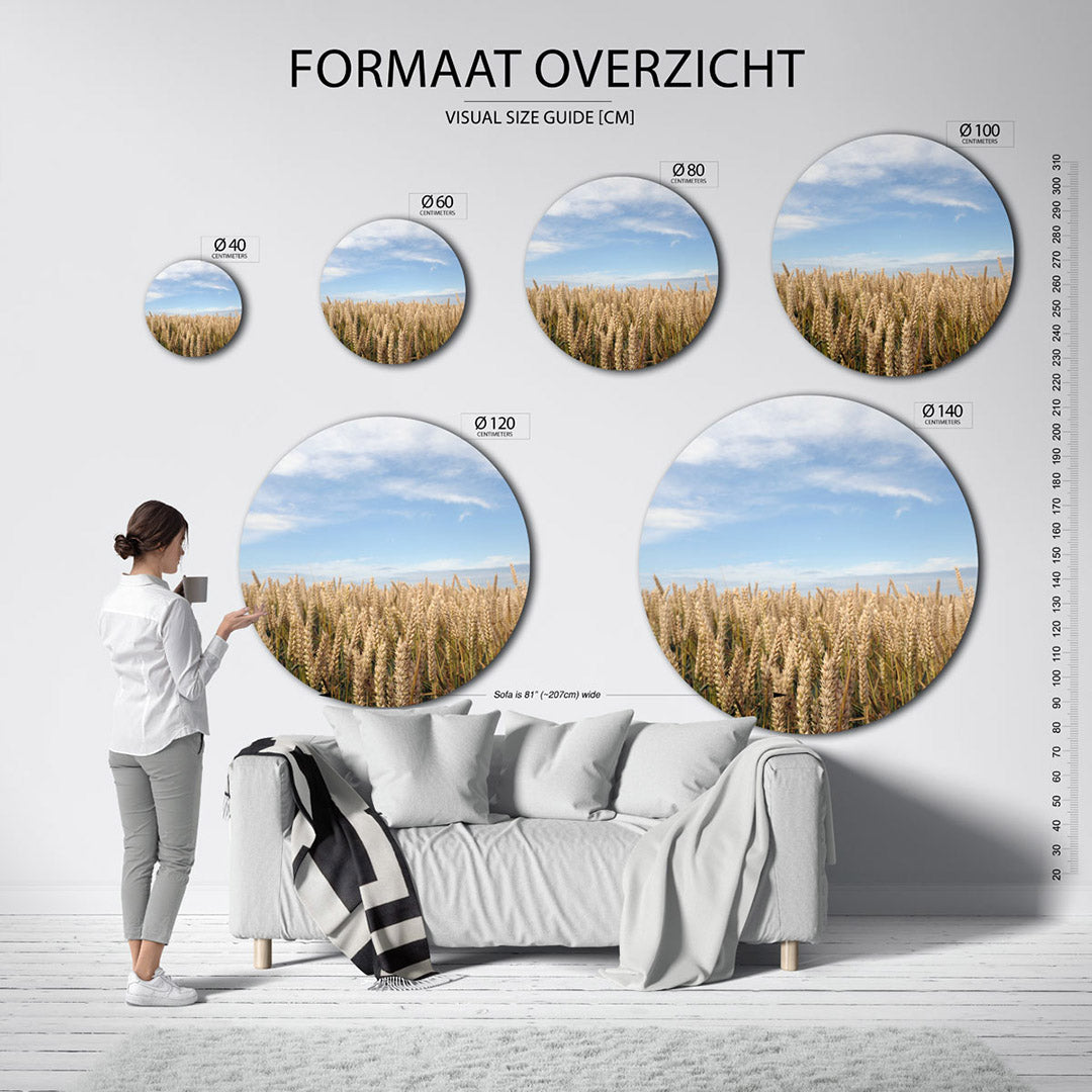 Gouden tarweveld Muurcirkel