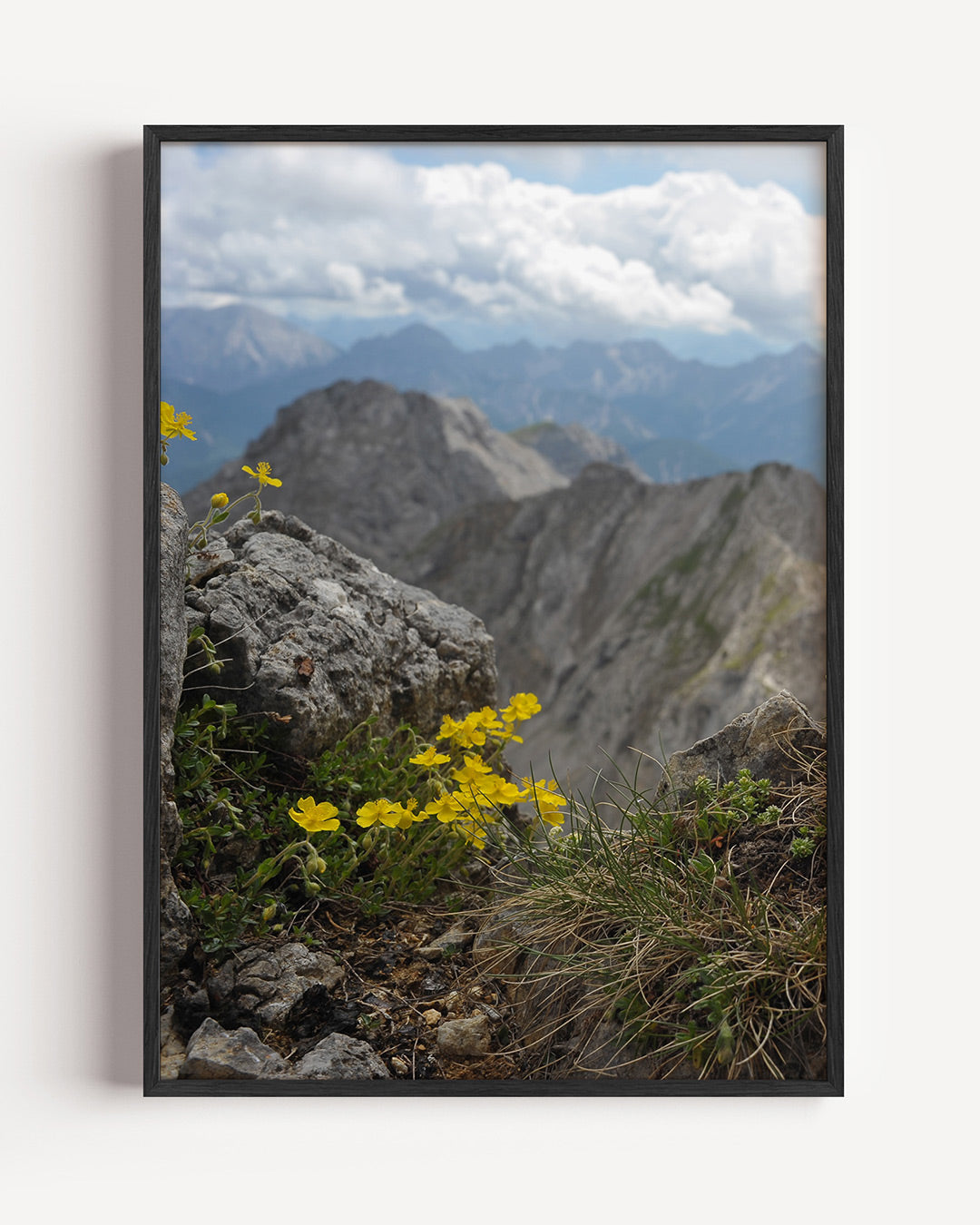 Berglandschap met bloemen Poster