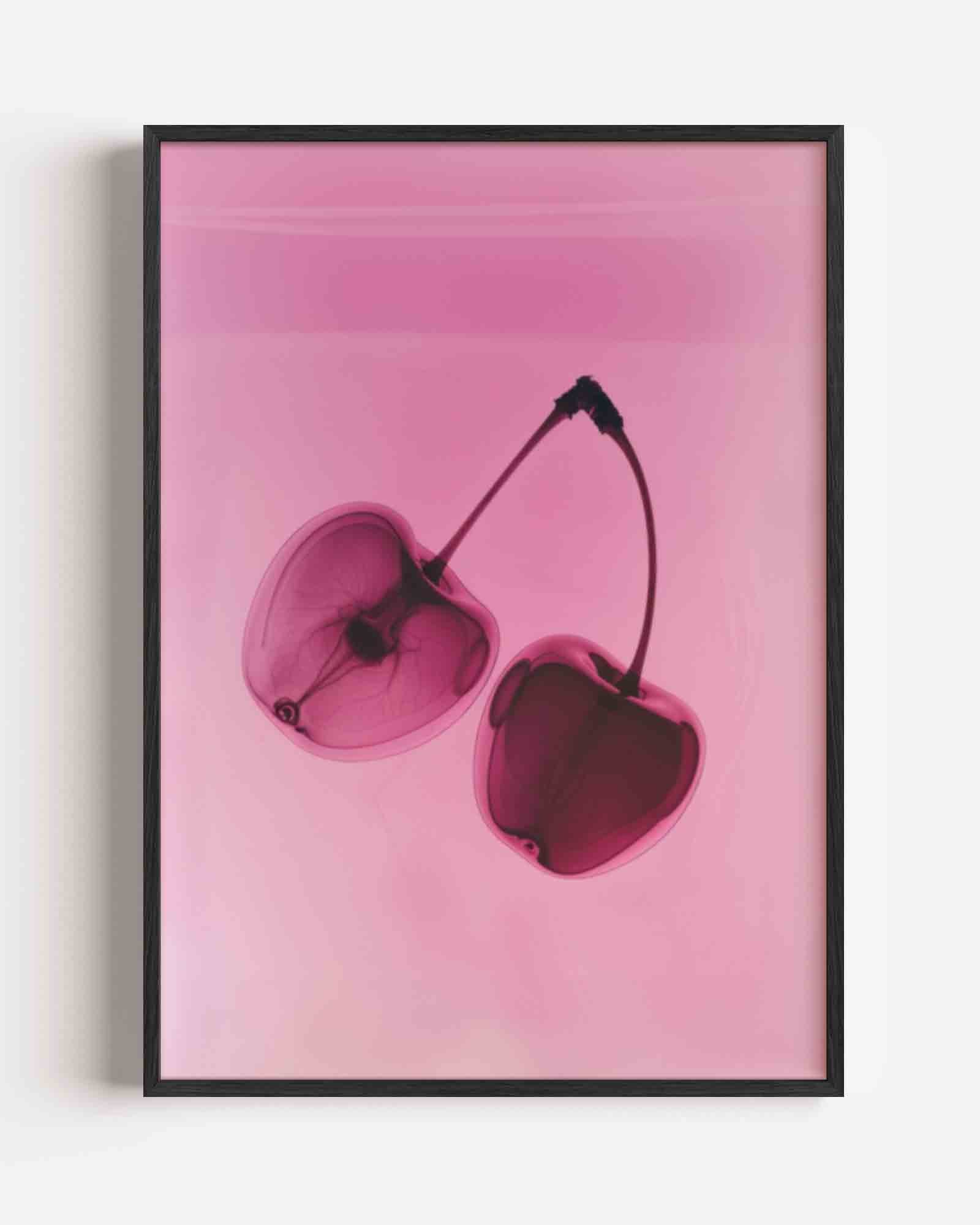 Kersen op roze Poster