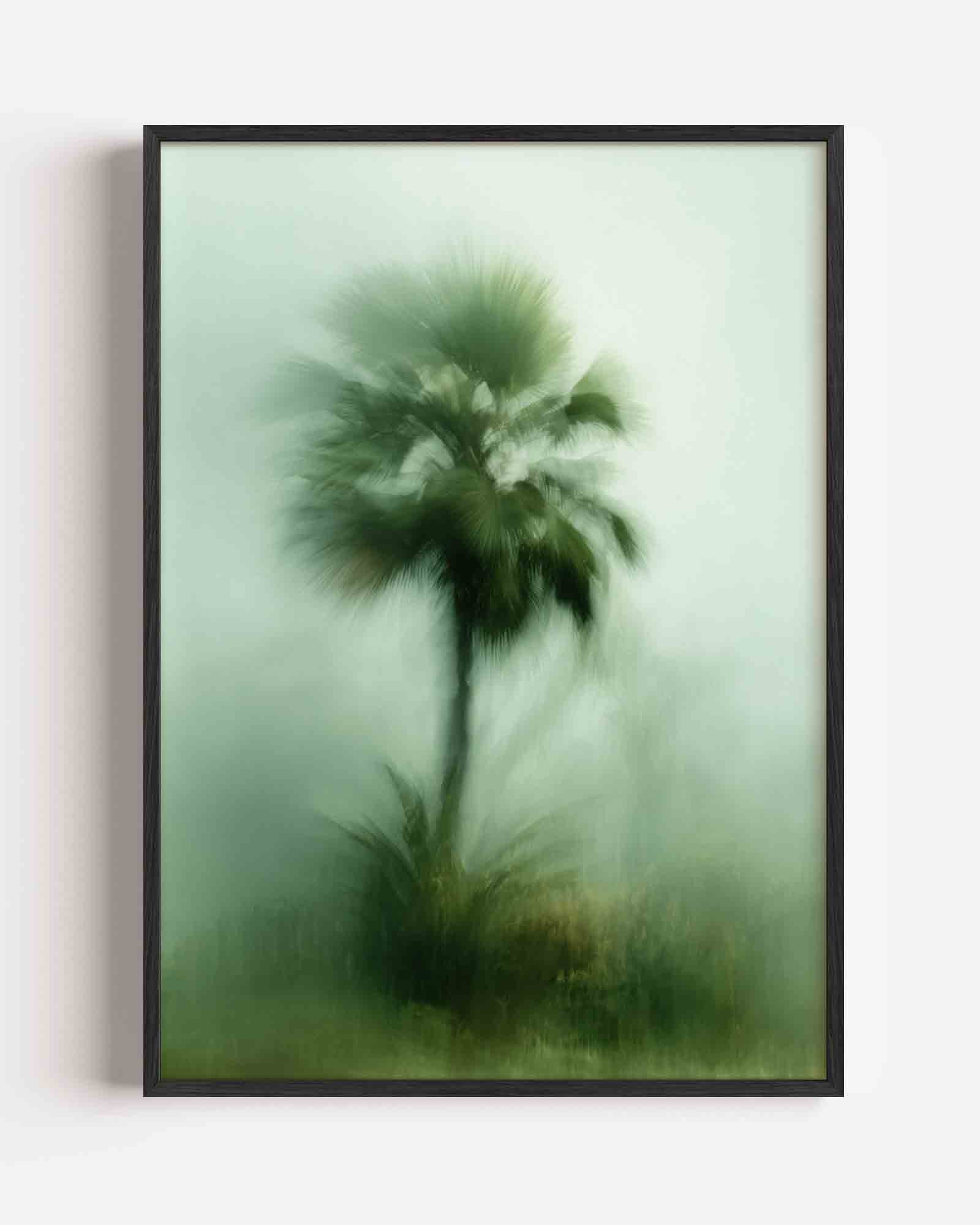 Wazige palmboom Poster