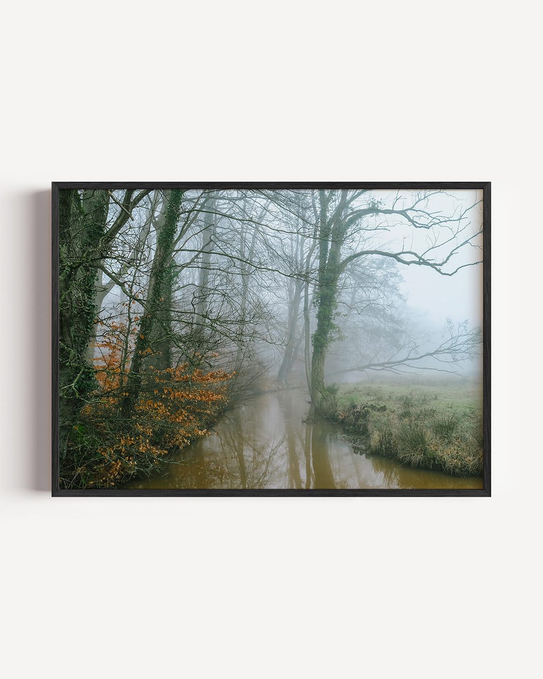 Mysterieuze boslandschap Poster