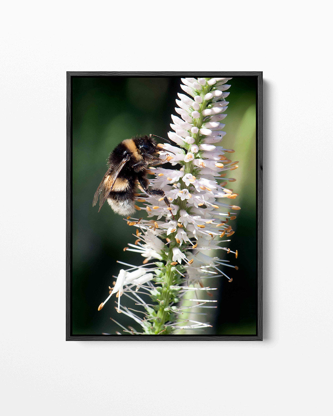 Bij op bloem Kunstwerk