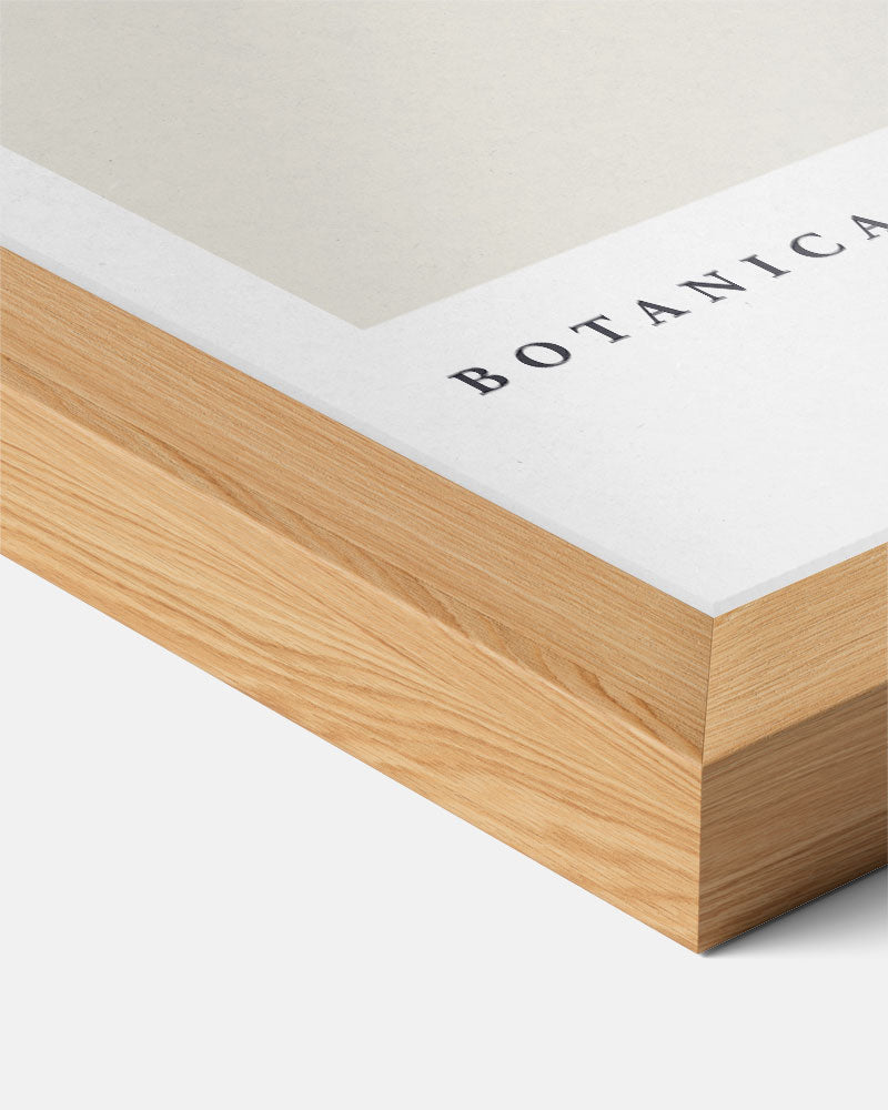 Botanica I Bloemenlijntekening Poster-WallArtistic