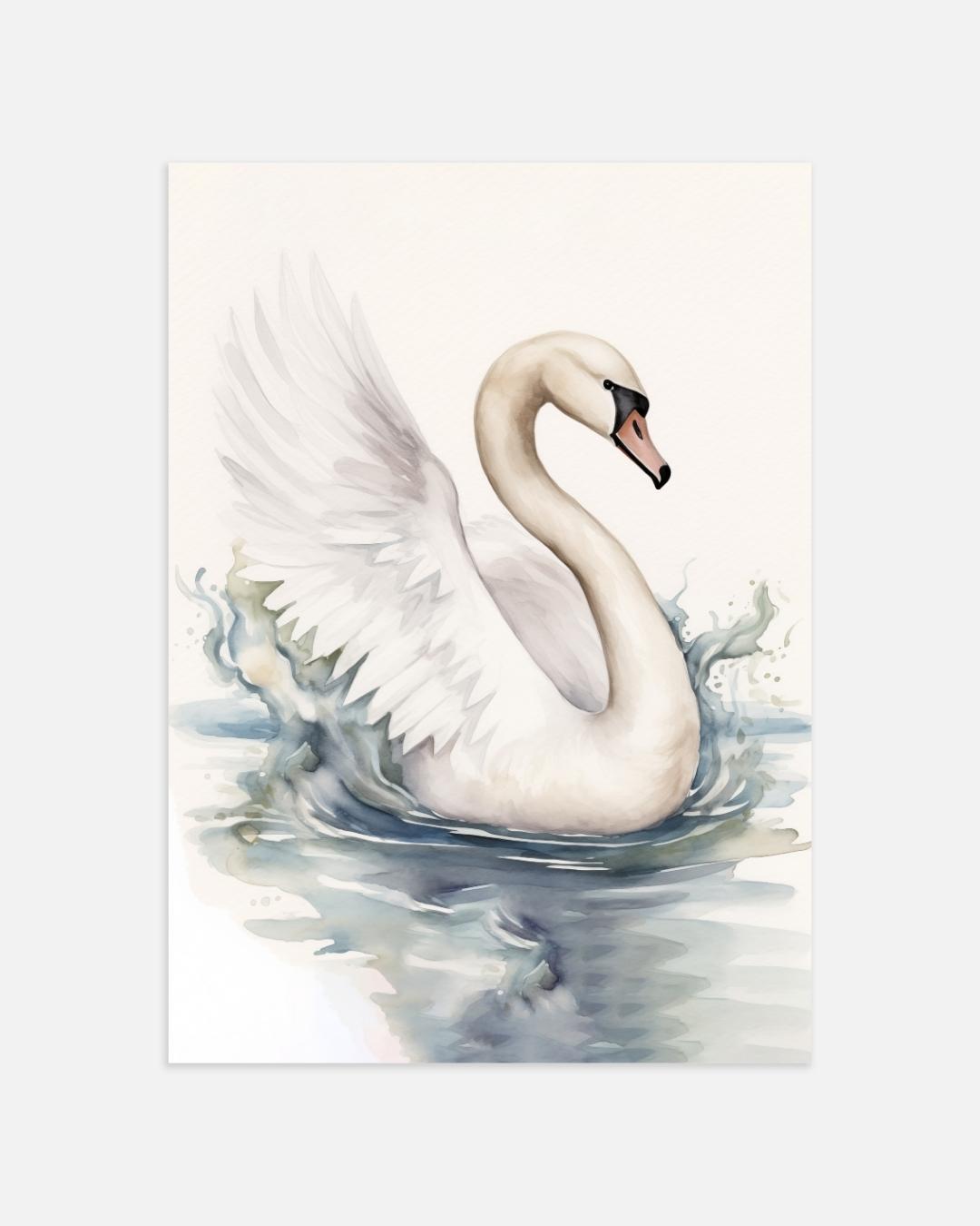 Elegante Zwaan Poster