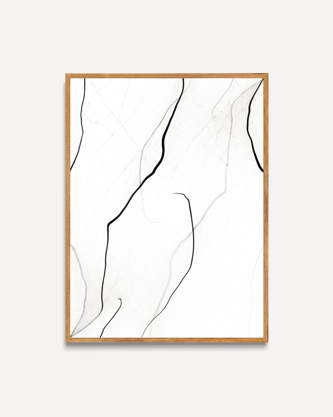 Organische lijntekening Poster