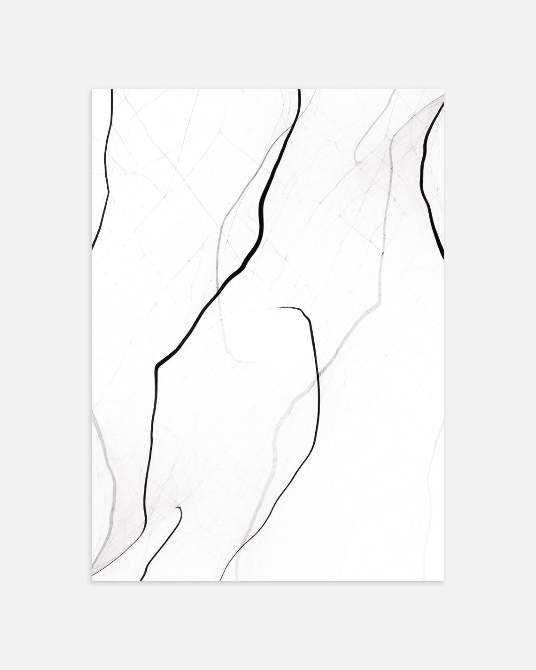 Abstracte lijntekening Poster