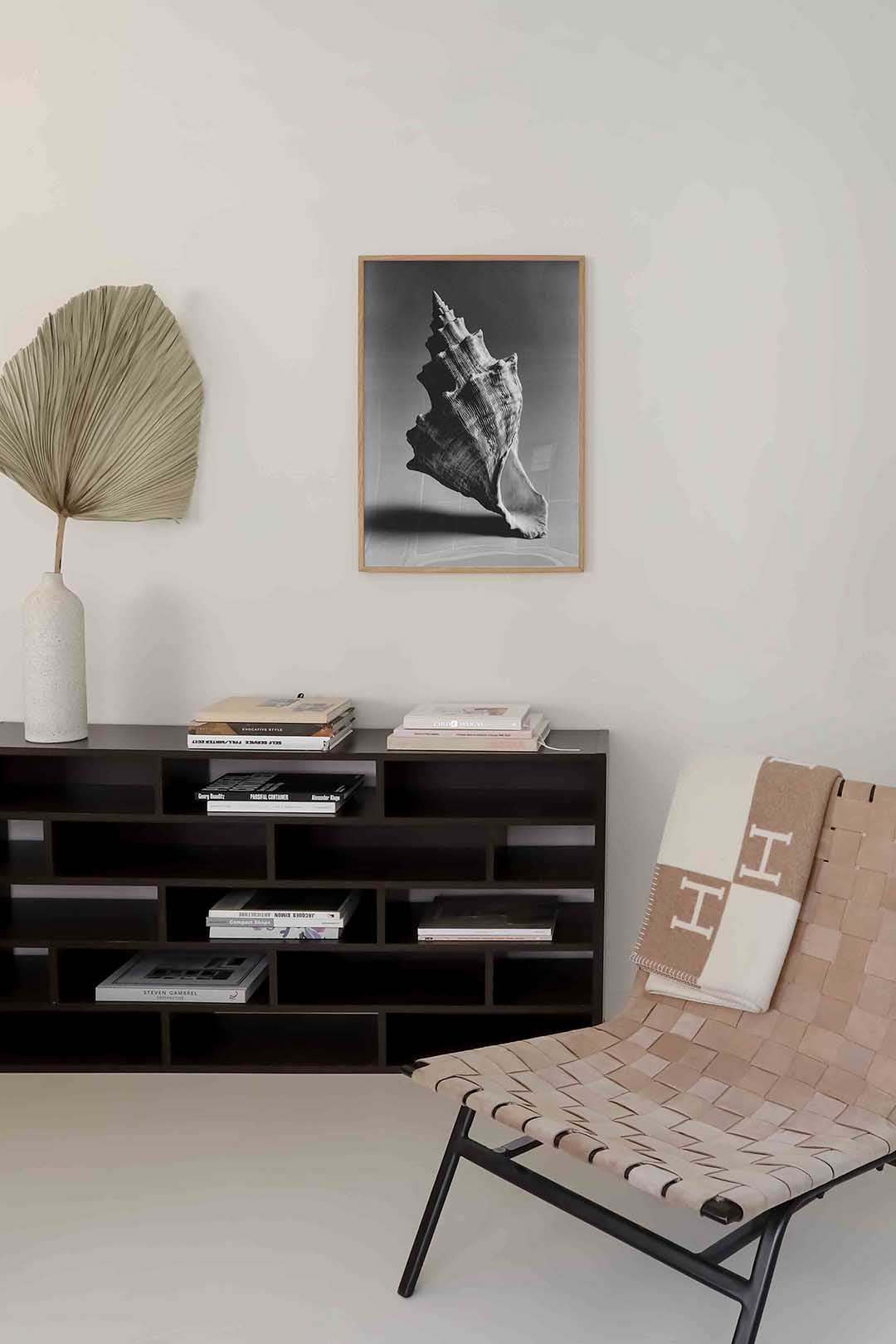 Schelp in zwart wit Poster