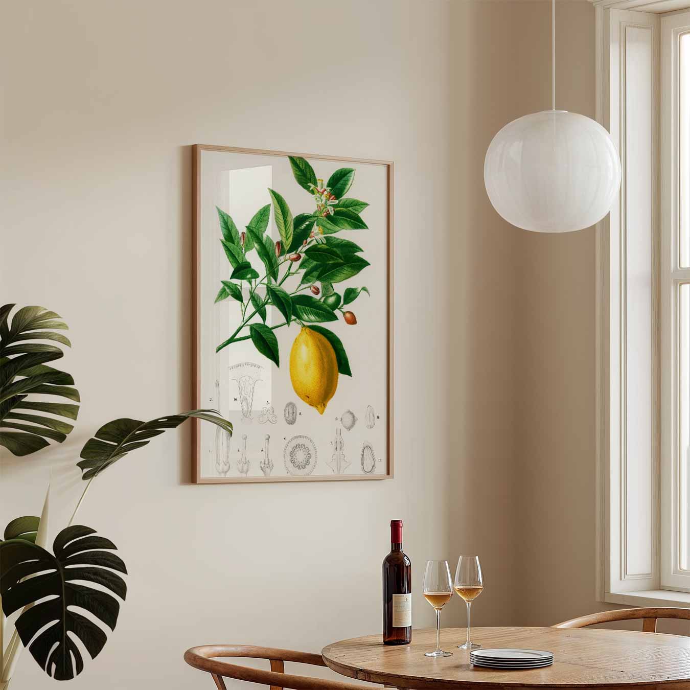 Botanische Citroen Illustratie Poster-WallArtistic
