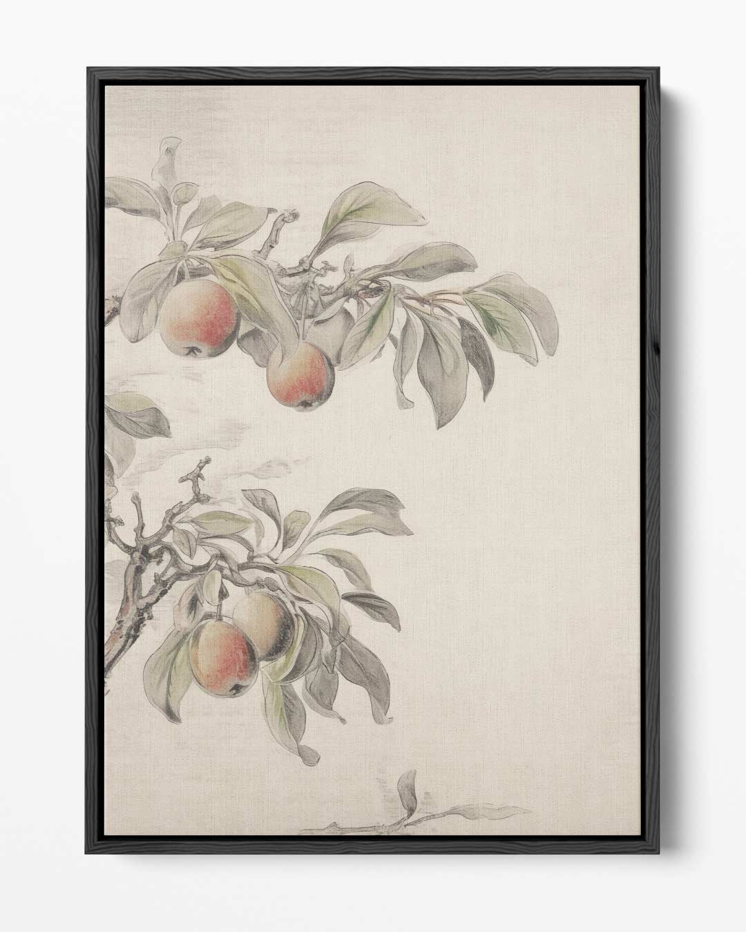 Subtiele Appeltak Illustratie Kunstwerk-canvas-dibond-plexiglas-wanddecoratie-WallArtistic