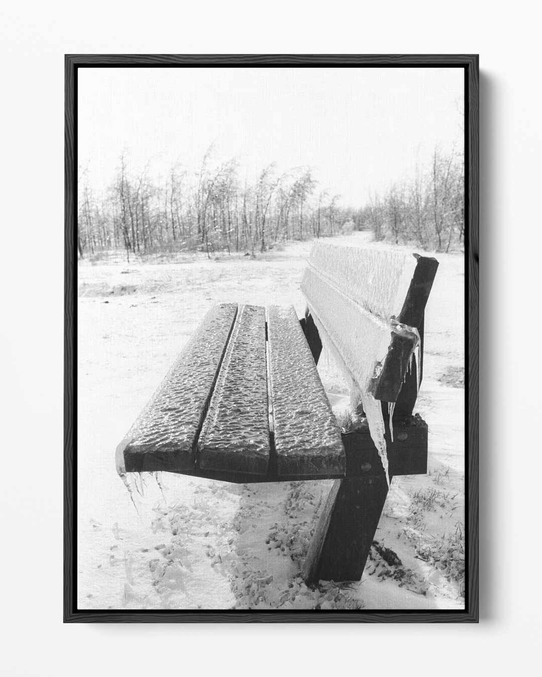 Bank met ijzel Poster-WallArtistic