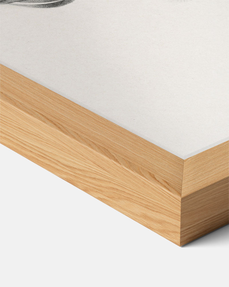 Elegante Schets van Mysterie Poster-WallArtistic