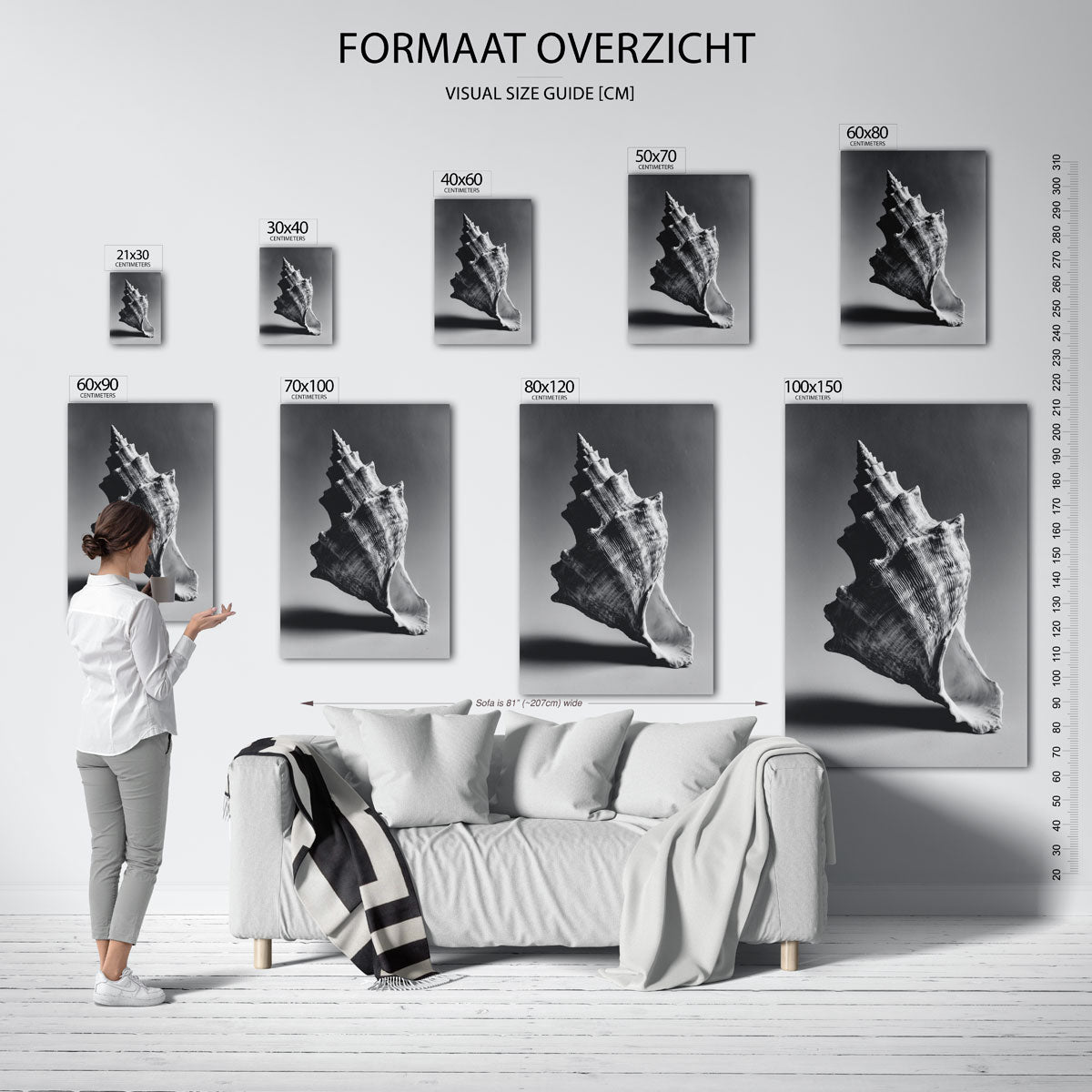Schelp in zwart wit Poster