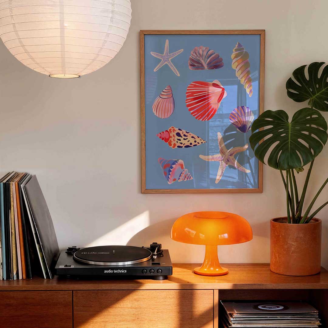 Schelpen en zeesterren Poster