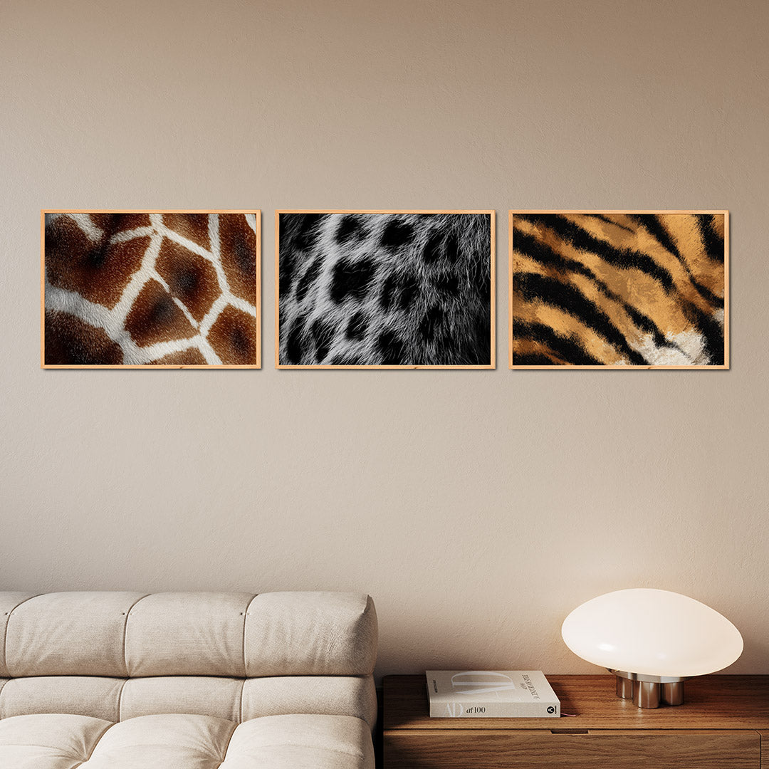 Vorm en textuur Posterset