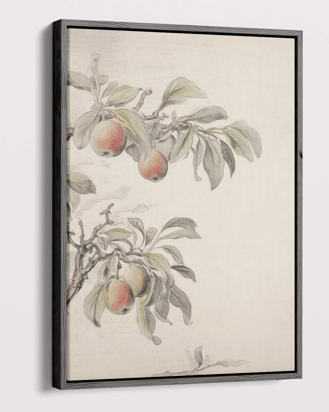 Subtiele Appeltak Illustratie Kunstwerk-canvas-dibond-plexiglas-wanddecoratie-WallArtistic