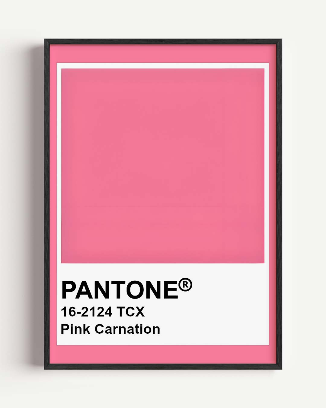 Pantone Pink Carnation Poster-WallArtistic